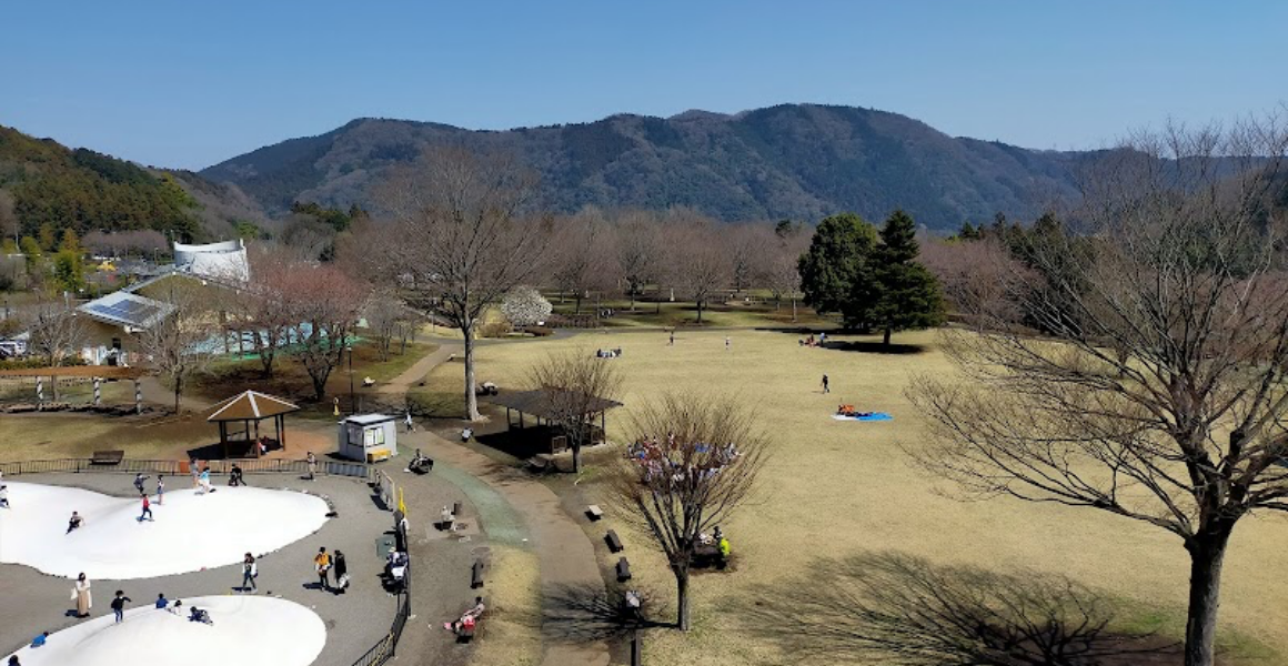 青野原