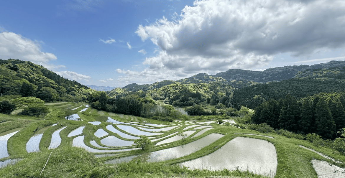 大山セッマイダ